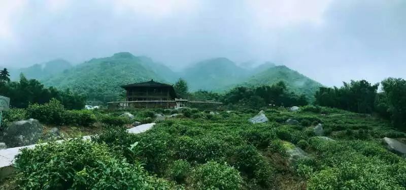 九華山·開元美途，置身俗塵外身心天地寬