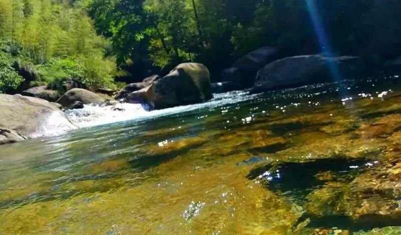 九華山·開元美途，置身俗塵外身心天地寬