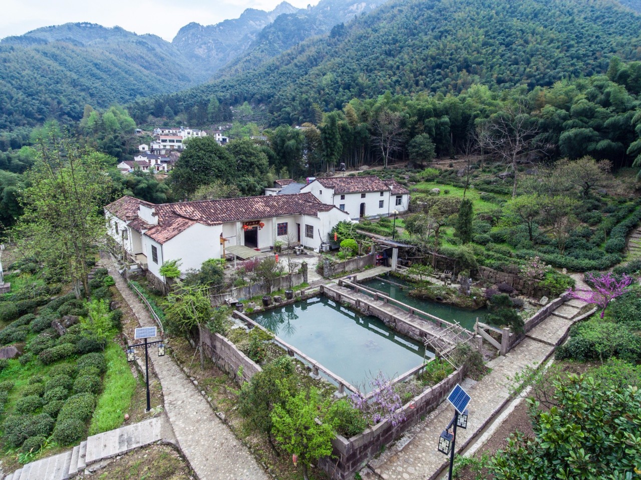 九華山·開(kāi)元美途，置身俗塵外身心天地寬