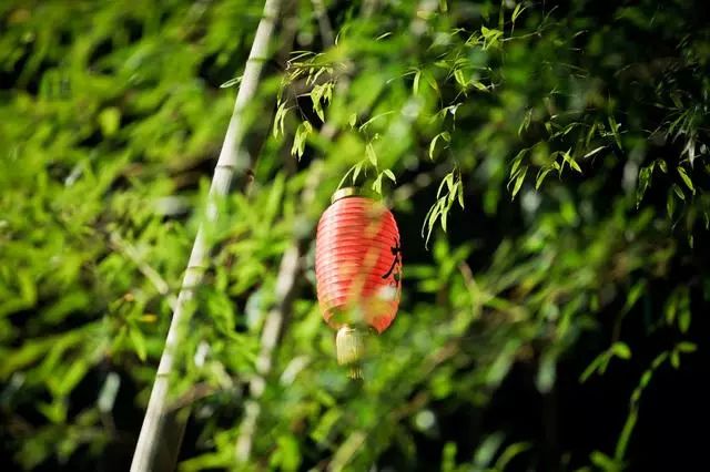 九華山·開元美途，置身俗塵外身心天地寬