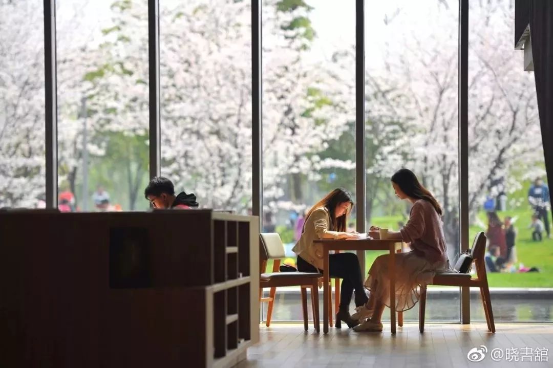 中國(guó)5個(gè)最美圖書館：閱讀心靈的桃花源