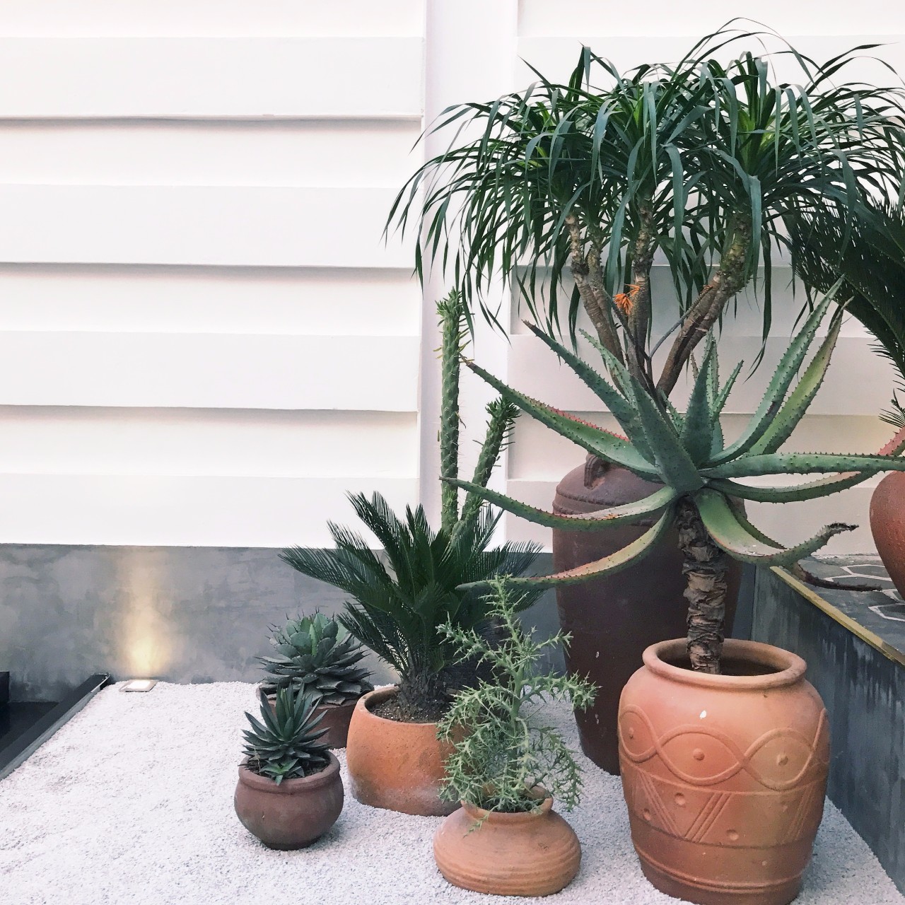 心湖·尚客堂，時(shí)光尚好待客尋來(lái)