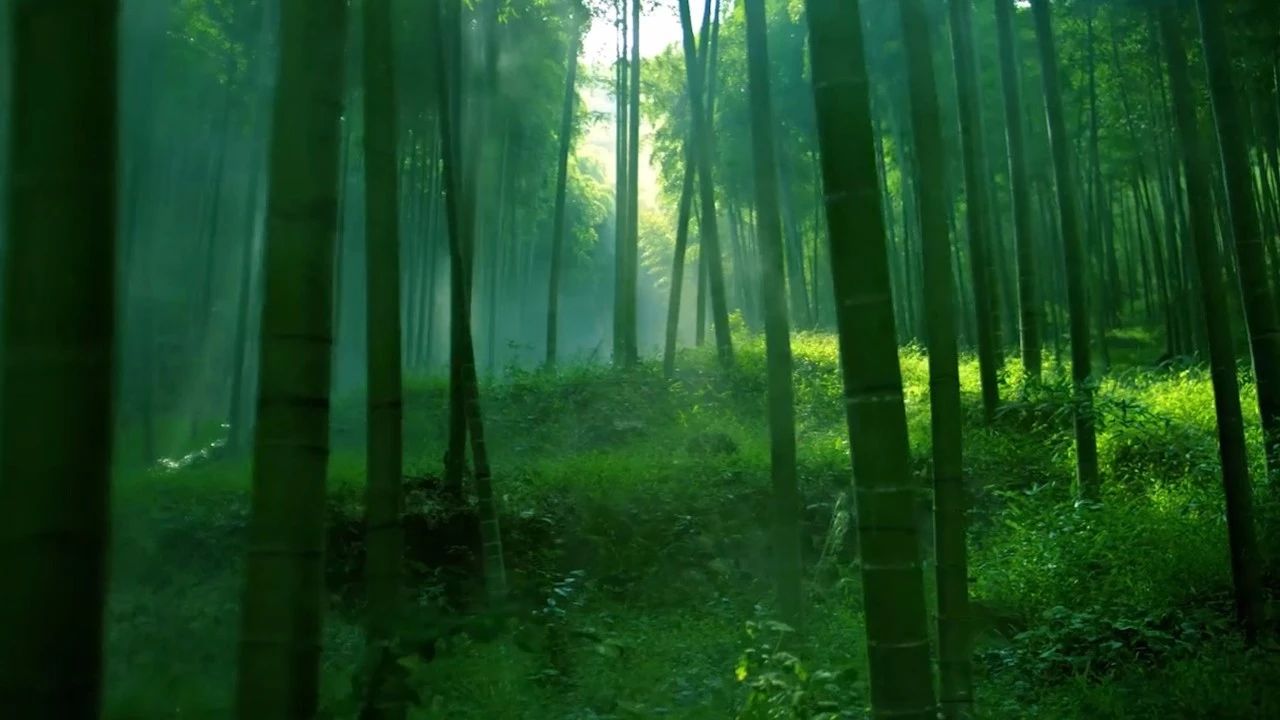 德清·莫干山諾富特酒店，找回初心永遠不晚