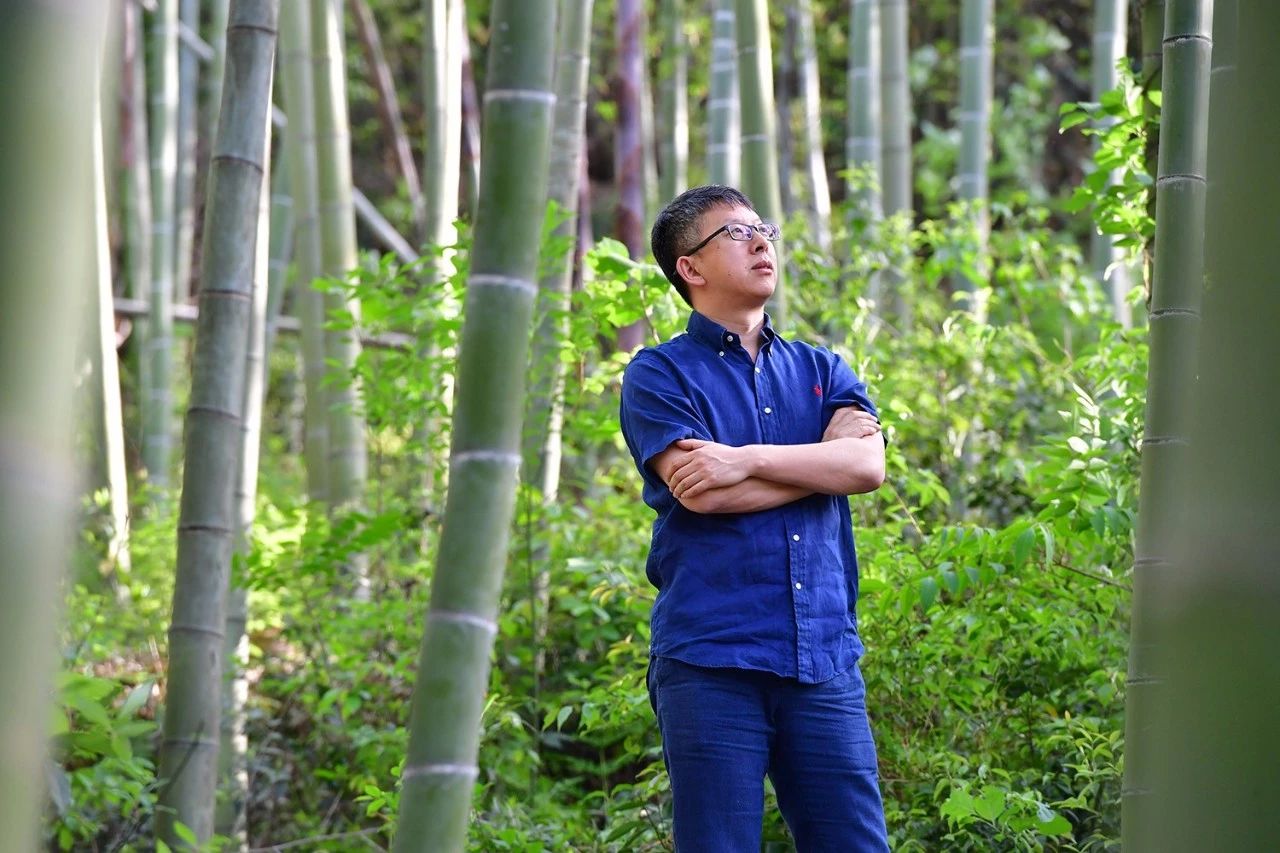 德清·莫干山諾富特酒店，找回初心永遠(yuǎn)不晚