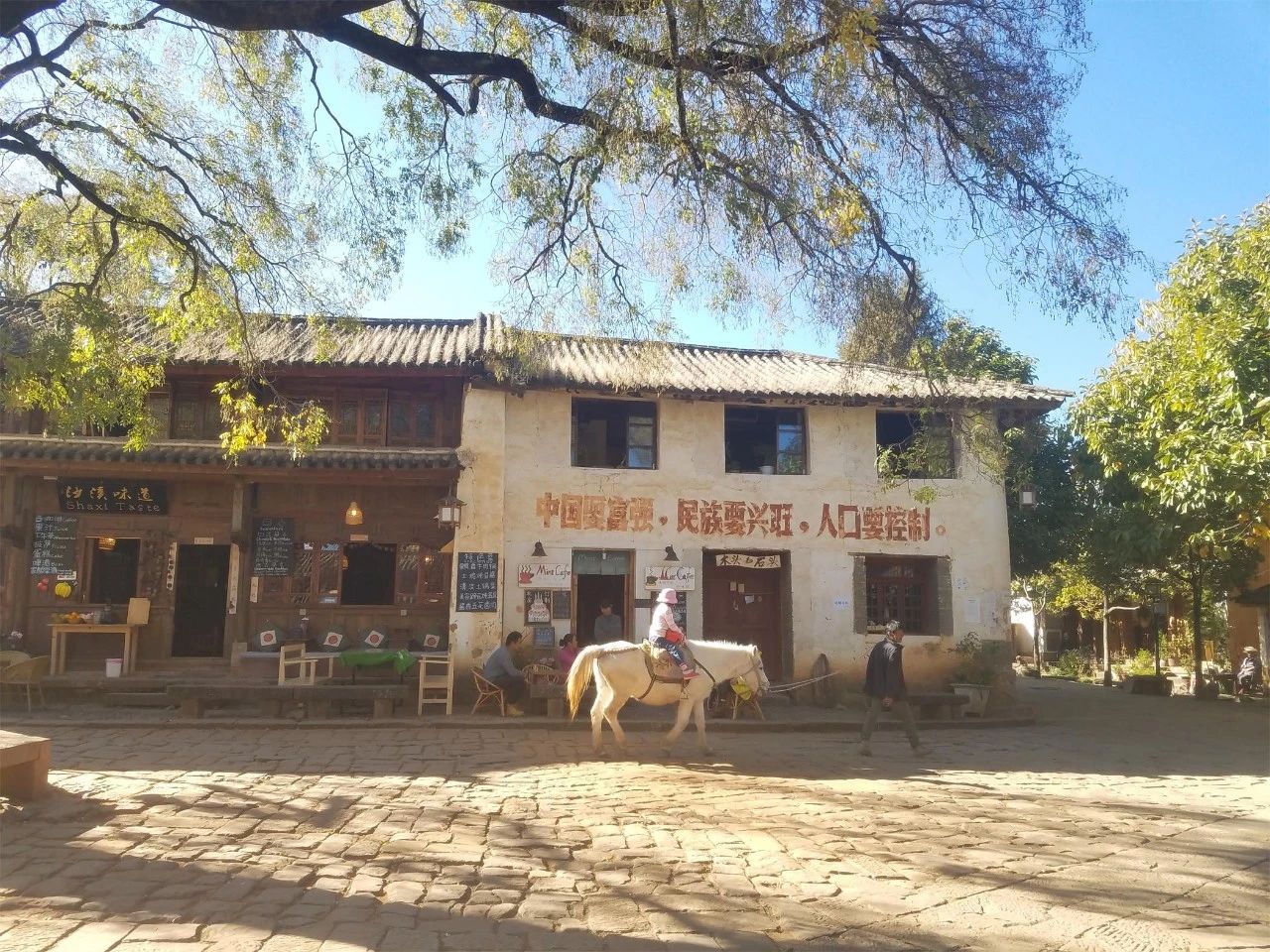 麗江·眾聚，等下一個輪回聚集一圈有趣的靈魂