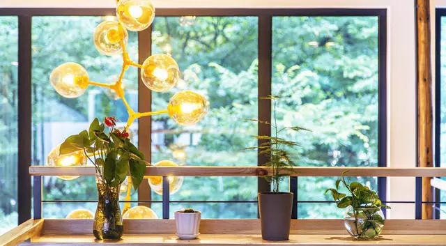 大樂之野·長丘田，許下每一個諾言都令人期待