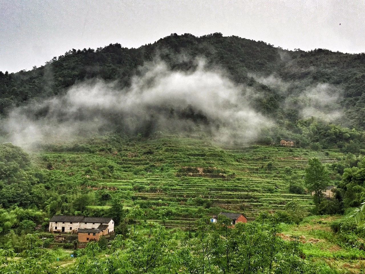 大樂之野·長丘田，許下每一個諾言都令人期待