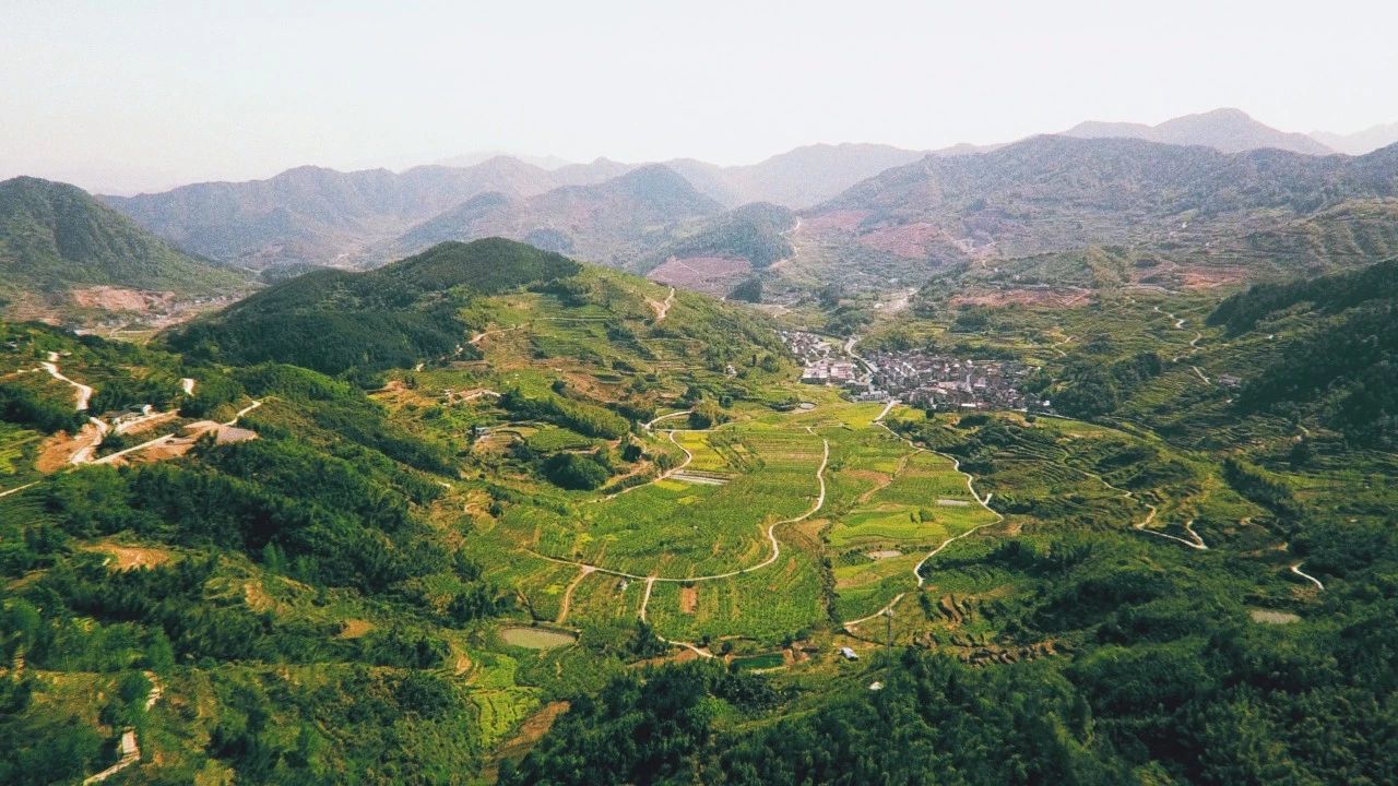 大樂之野·長丘田，許下每一個諾言都令人期待