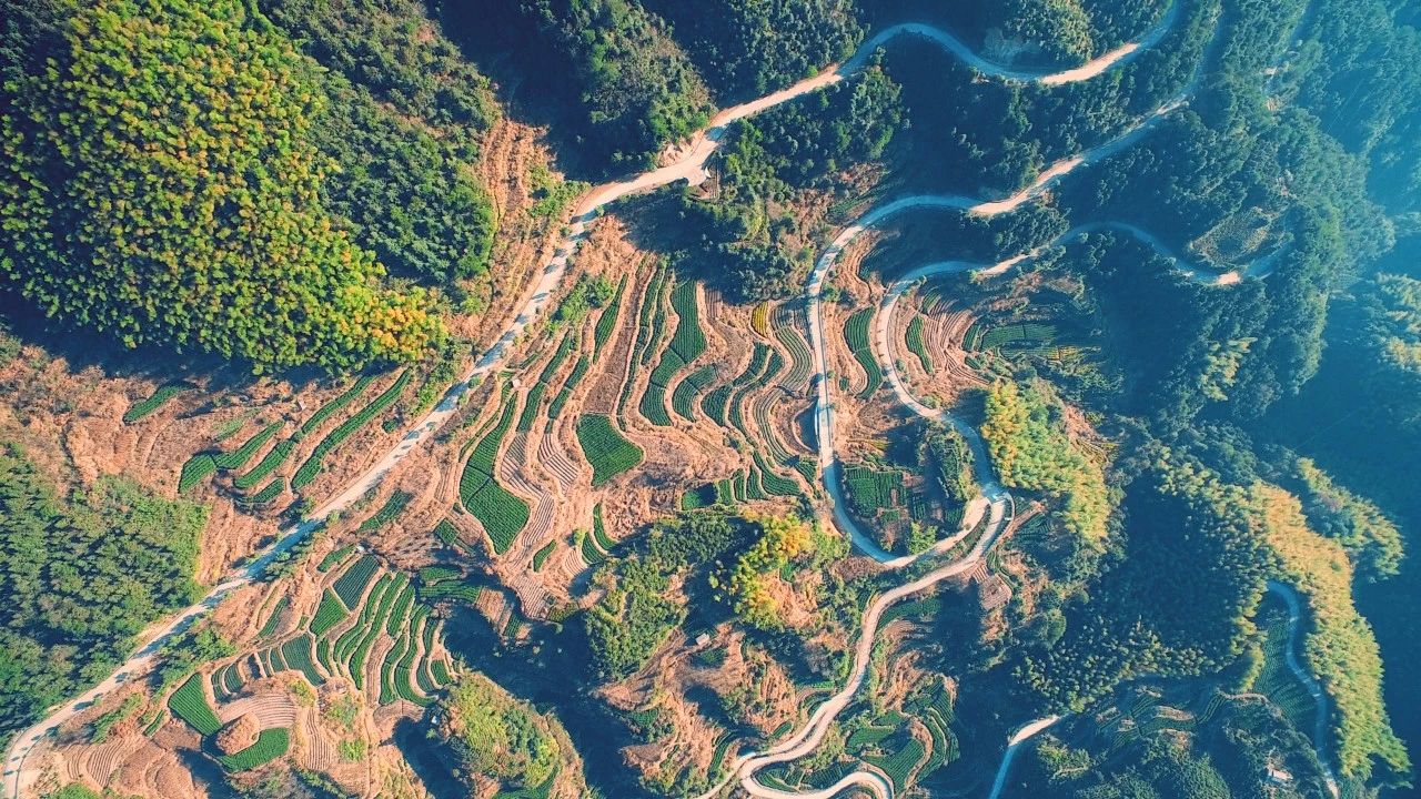 大樂之野·長丘田，許下每一個諾言都令人期待