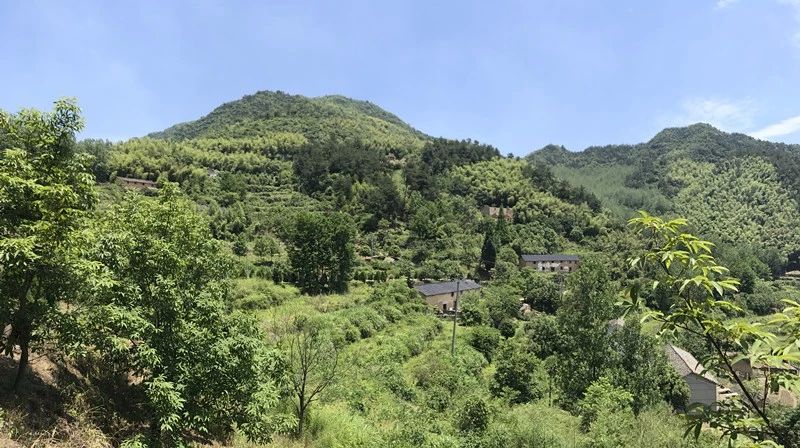 大樂(lè)之野·長(zhǎng)丘田，許下每一個(gè)諾言都令人期待