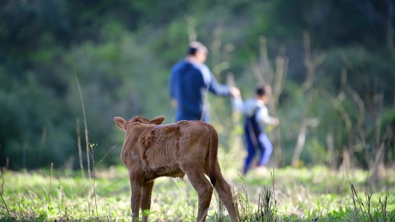 大樂(lè)之野·長(zhǎng)丘田，許下每一個(gè)諾言都令人期待