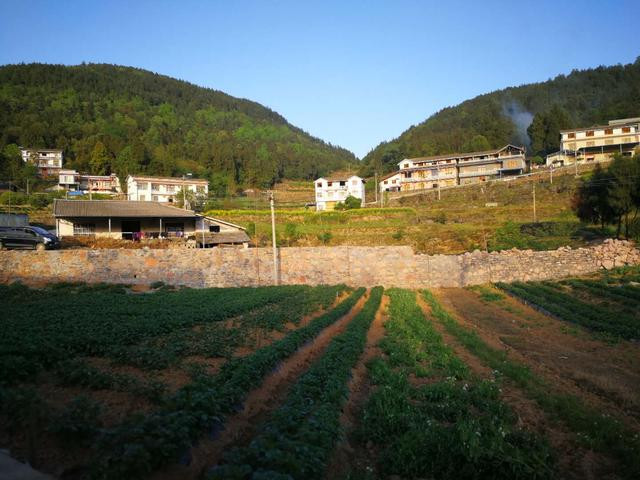 智派公寓，工作不如意的時候生活還能擁抱你！