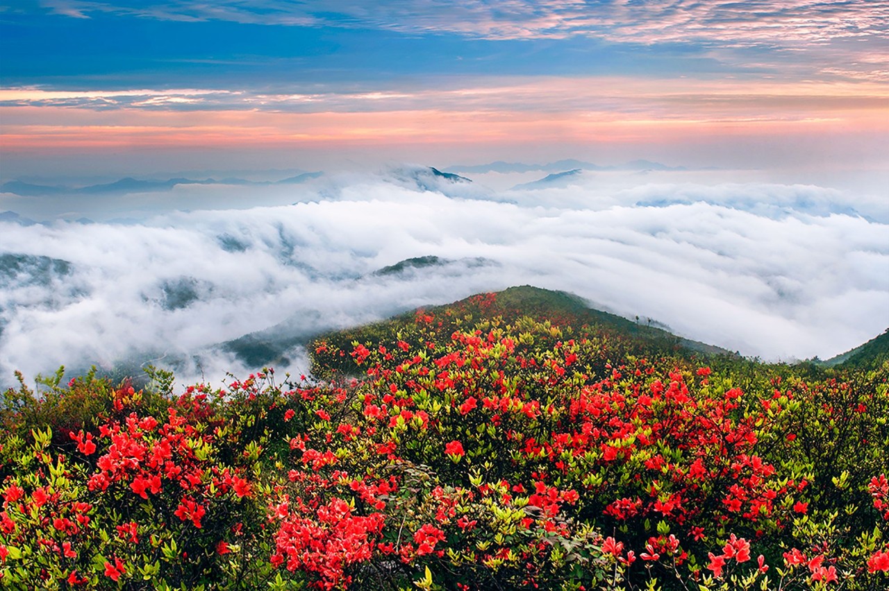 麗水云和·在田間，中國傳統(tǒng)水墨山水的意境