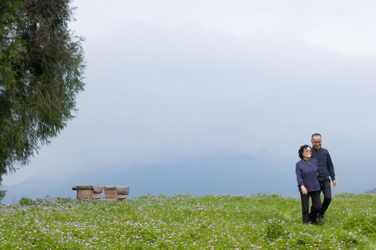 麗水云和·在田間，中國(guó)傳統(tǒng)水墨山水的意境