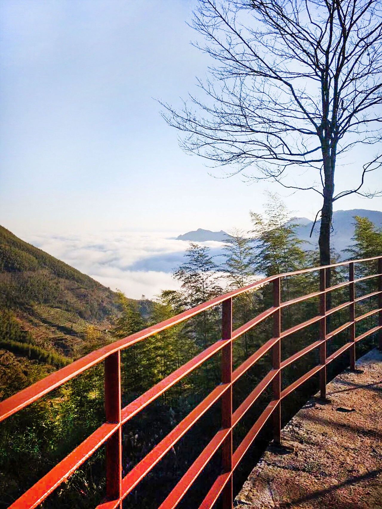 麗水云和·在田間，中國傳統(tǒng)水墨山水的意境