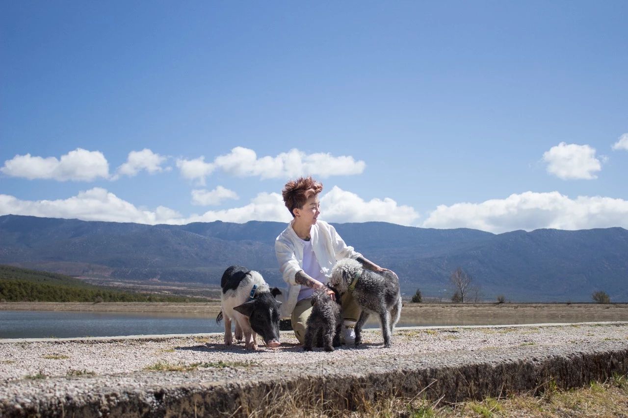 麗江·浮云社，將一切凡塵俗世都看作浮云