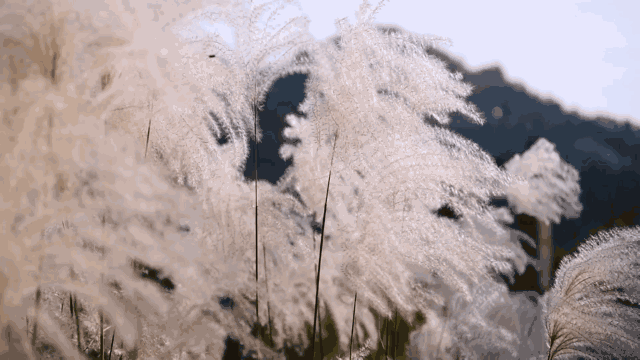 麻城·云夢如故，山里的房子就該有山里的味道