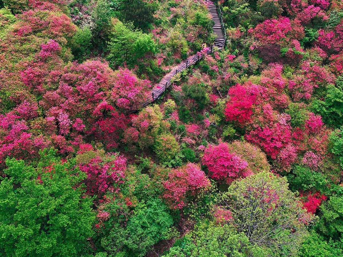 麻城·云夢如故，山里的房子就該有山里的味道