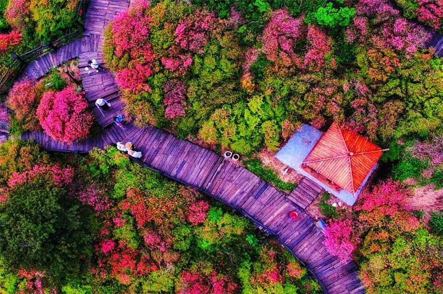 麻城·云夢如故，山里的房子就該有山里的味道