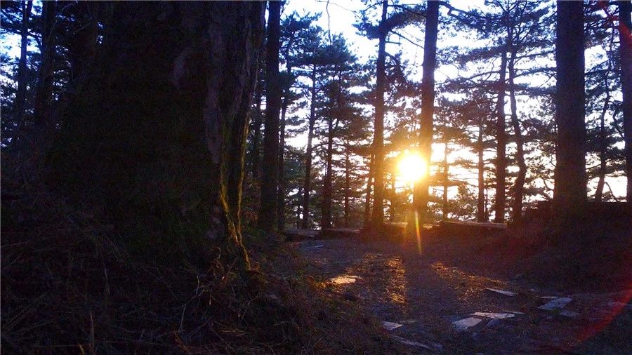 麻城·云夢(mèng)如故，山里的房子就該有山里的味道