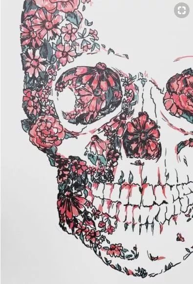 一組手繪骷髏頭插畫，猶如帶刺的玫瑰！