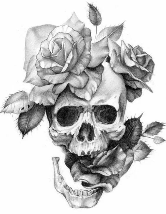 一組手繪骷髏頭插畫，猶如帶刺的玫瑰！