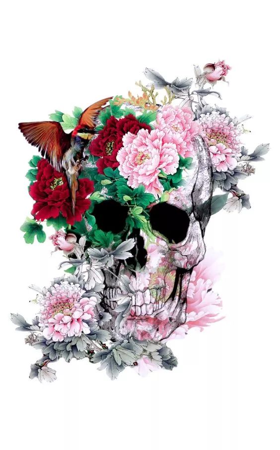 一組手繪骷髏頭插畫，猶如帶刺的玫瑰！