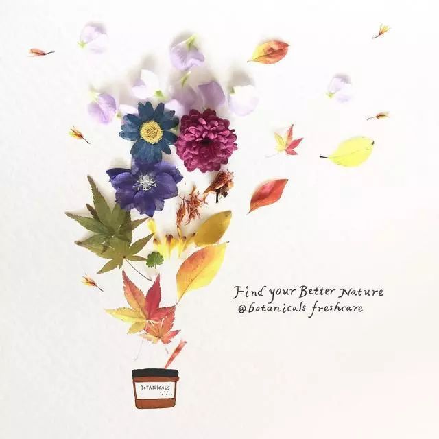 一組創(chuàng)意花瓣插畫，小清新唯美手繪插畫