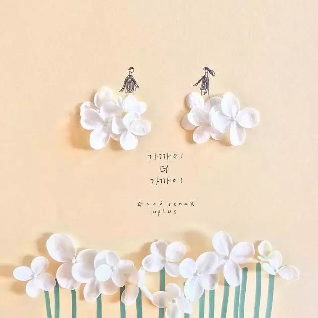 一組創(chuàng)意花瓣插畫，小清新唯美手繪插畫