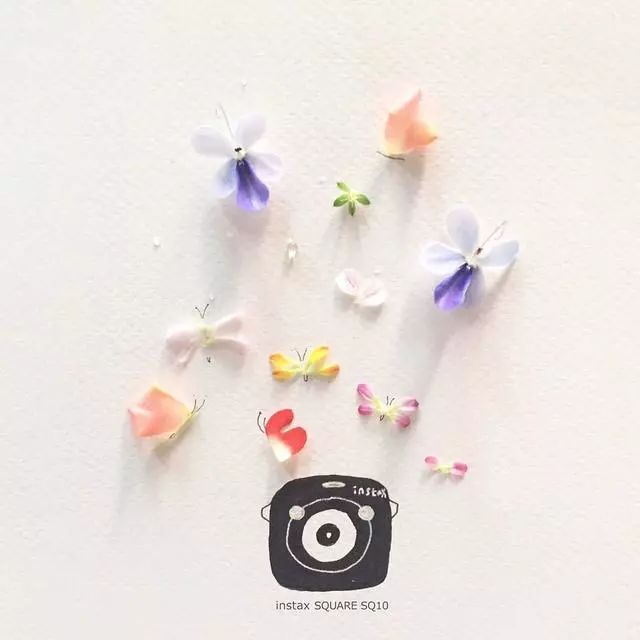 一組創(chuàng)意花瓣插畫，小清新唯美手繪插畫