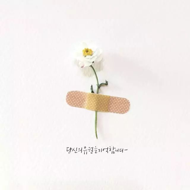 一組創(chuàng)意花瓣插畫，小清新唯美手繪插畫