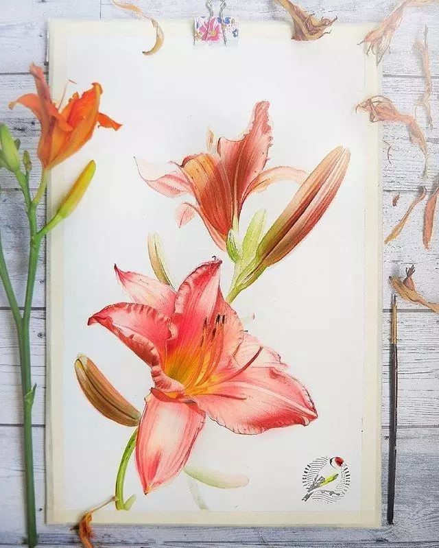 超逼真的水彩手繪插畫，小清新植物插畫圖片