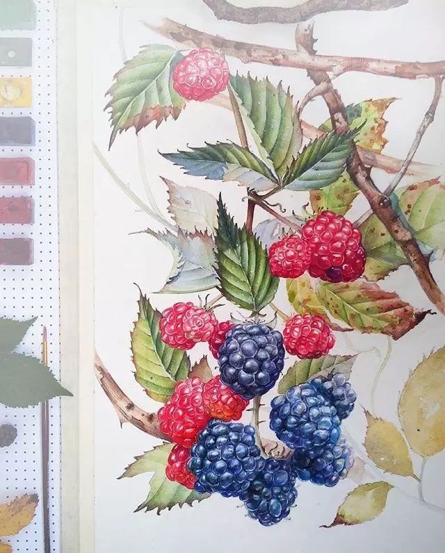 超逼真的水彩手繪插畫，小清新植物插畫圖片