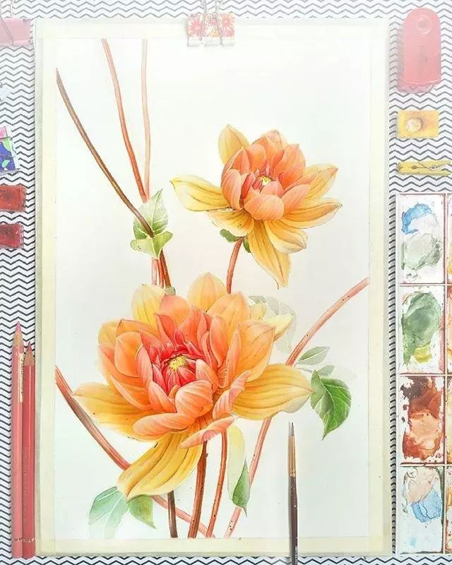 超逼真的水彩手繪插畫，小清新植物插畫圖片