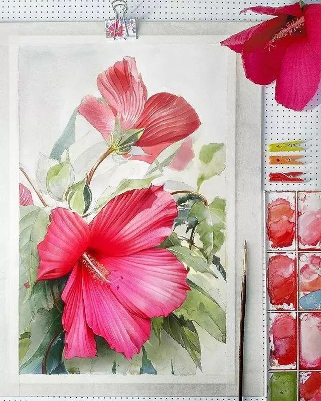 超逼真的水彩手繪插畫，小清新植物插畫圖片