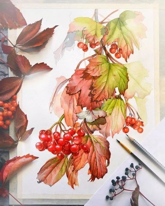 超逼真的水彩手繪插畫，小清新植物插畫圖片