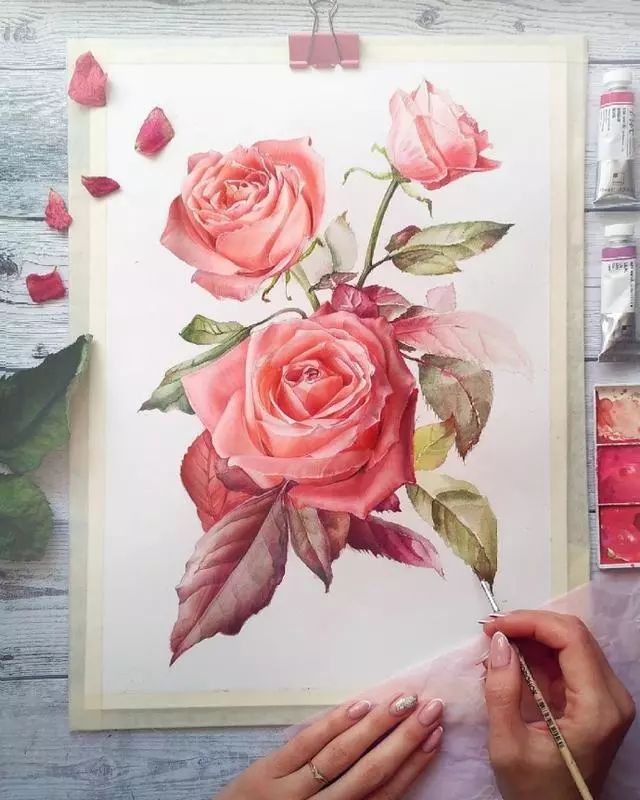 超逼真的水彩手繪插畫(huà)，小清新植物插畫(huà)圖片