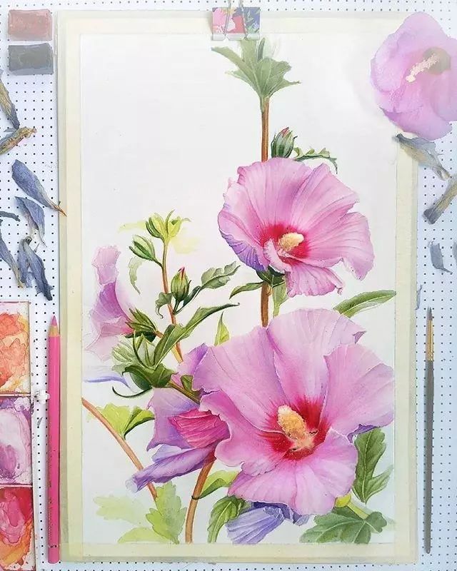 超逼真的水彩手繪插畫(huà)，小清新植物插畫(huà)圖片