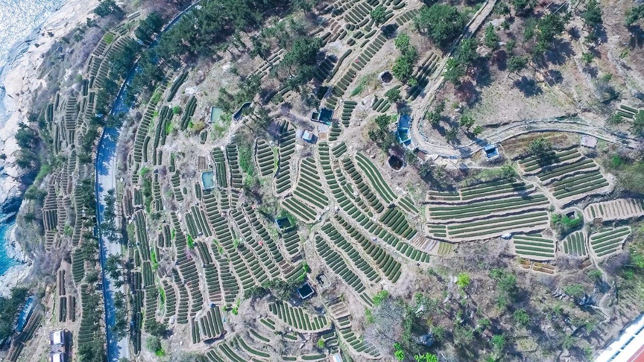 青島·瑞宿海棲，等你來就讓瑞宿帶你環(huán)游青島