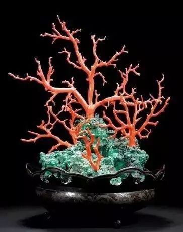 驚艷世界的故宮清代盆景，美哉!