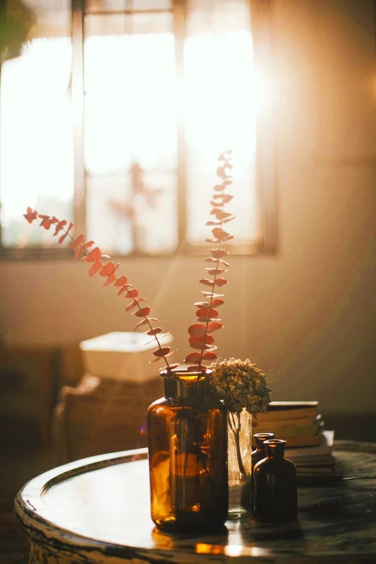 廈門·花青宿，一場(chǎng)風(fēng)格迥異遠(yuǎn)古部落的夢(mèng)