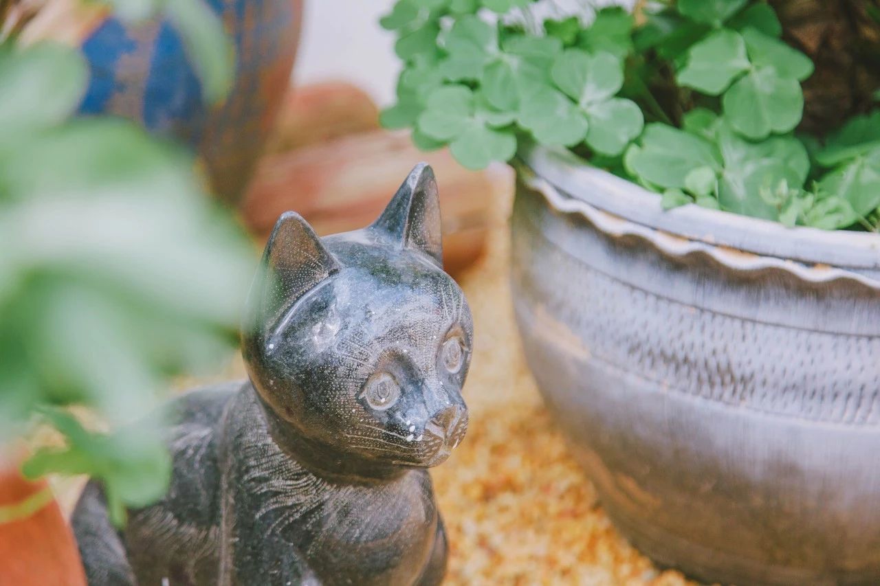 廈門·花青宿，一場風(fēng)格迥異遠(yuǎn)古部落的夢