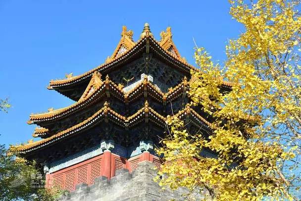 最美風(fēng)景故宮最新艷照，美到爆！