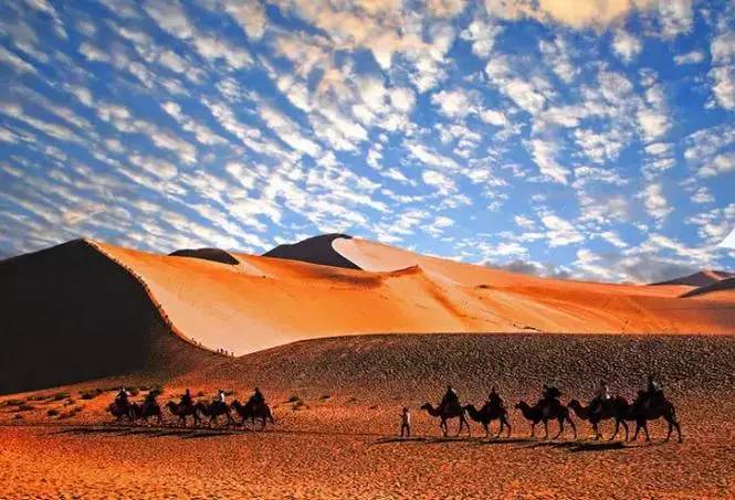 《天邊的駱駝》，震撼的沙漠風(fēng)景之美!