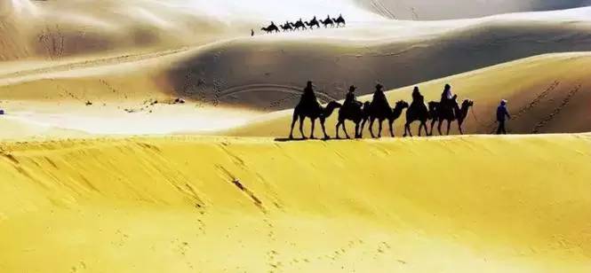 《天邊的駱駝》，震撼的沙漠風(fēng)景之美!