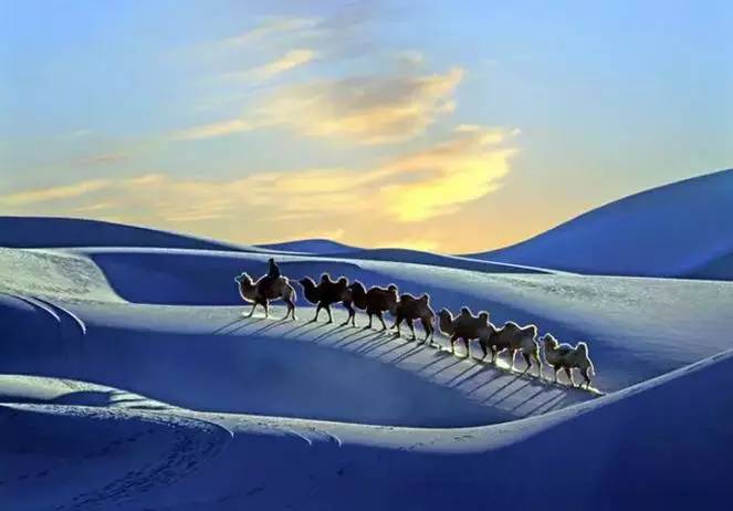 《天邊的駱駝》，震撼的沙漠風(fēng)景之美!