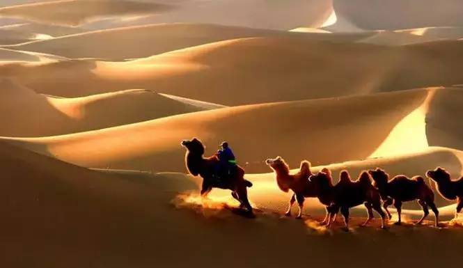 《天邊的駱駝》，震撼的沙漠風(fēng)景之美!
