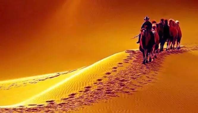 《天邊的駱駝》，震撼的沙漠風(fēng)景之美!
