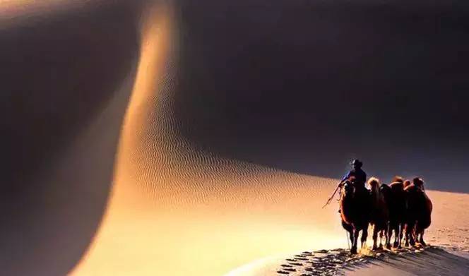 《天邊的駱駝》，震撼的沙漠風(fēng)景之美!