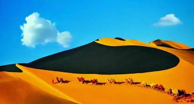 《天邊的駱駝》，震撼的沙漠風(fēng)景之美!